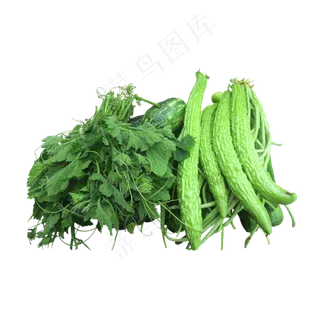 实拍绿色蔬菜 实拍绿色蔬菜