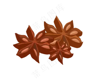 褐色调味食品八角插图