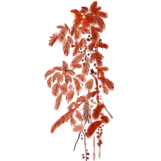 水彩画秋天的黄叶免抠图