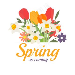 春天来临的背景与花束春天郁金香和水仙花