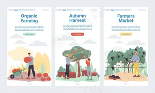 工人种植和收获蔬菜、水果、有机农业、农业概念。