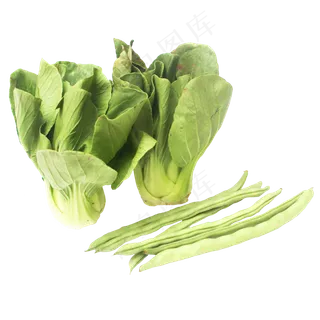 小油菜上海青豆角