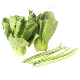 小油菜上海青豆角