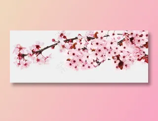 樱花开花植物免扣png