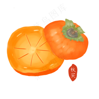 手绘二十四节气秋实柿子