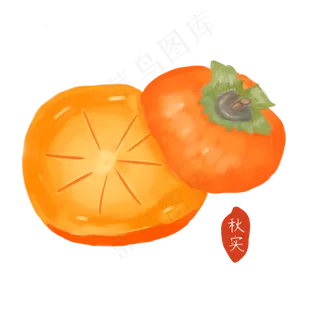 手绘二十四节气秋实柿子