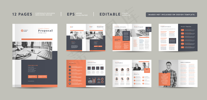 企业商务项目方案设计