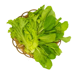 生菜青菜