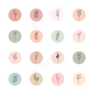 Instagram手绘花卉故事亮点