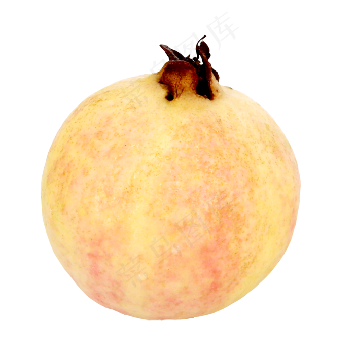 水果番石榴(2000*2000px 300 dpi )