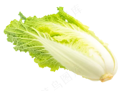 绿色蔬菜白菜