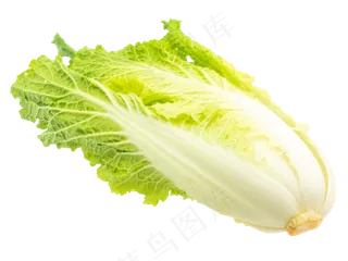 绿色蔬菜白菜