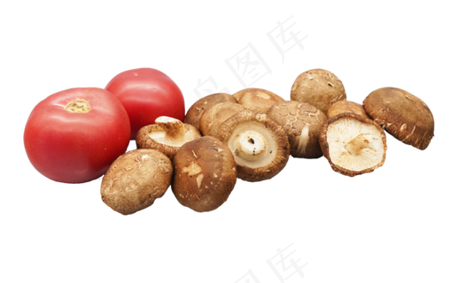 西红柿和香菇