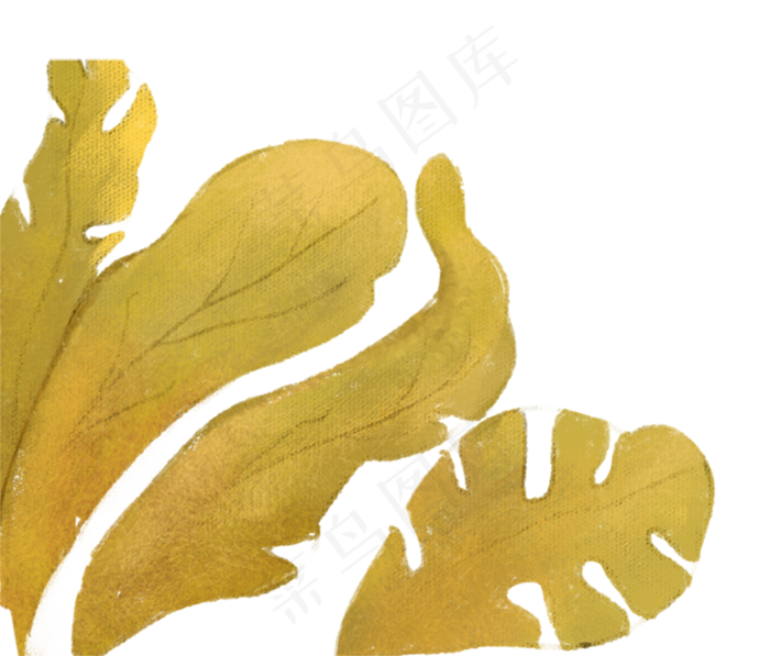 黄色草植物(800X682(DPI:300))psd模版下载