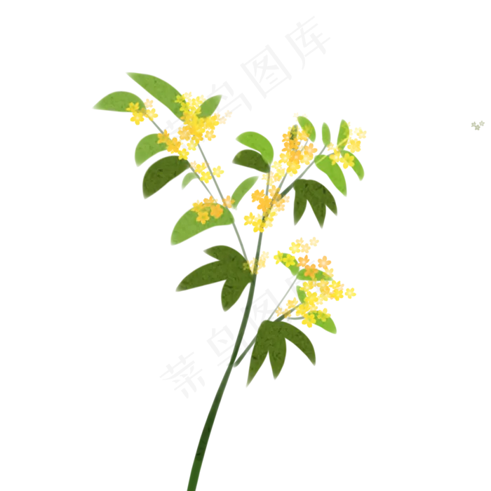 金色的桂花(2000X2000(DPI:300))psd模版下载