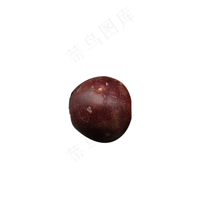 红棕色的李子(2000X2000(DPI:300))psd模版下载