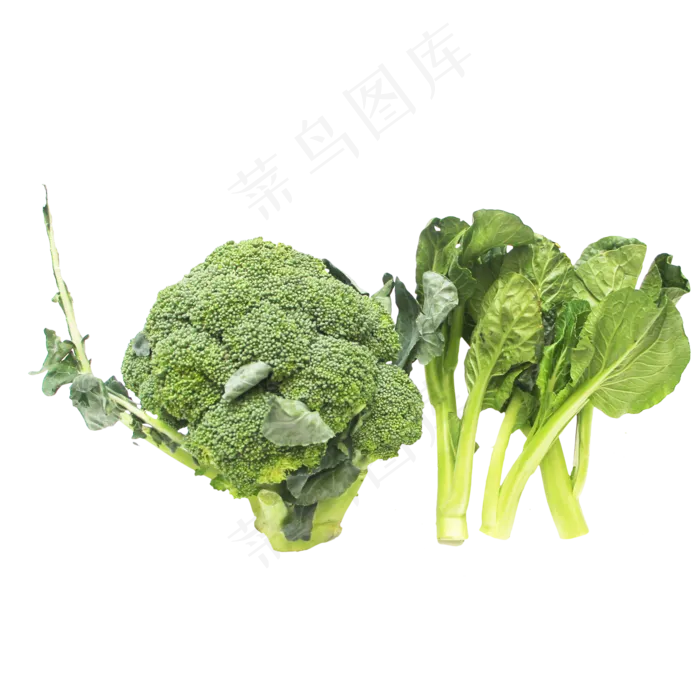 绿色菜芯西兰花蔬菜组合(2333*2333px 300 dpi )