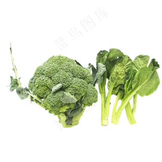 绿色菜芯西兰花蔬菜组合