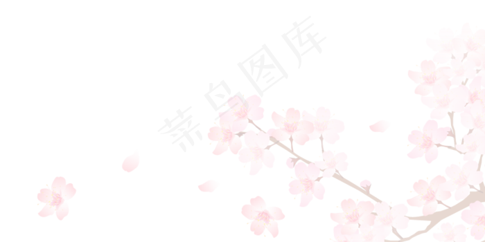 樱花开花植物免扣png 