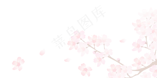 樱花开花植物免扣png 
