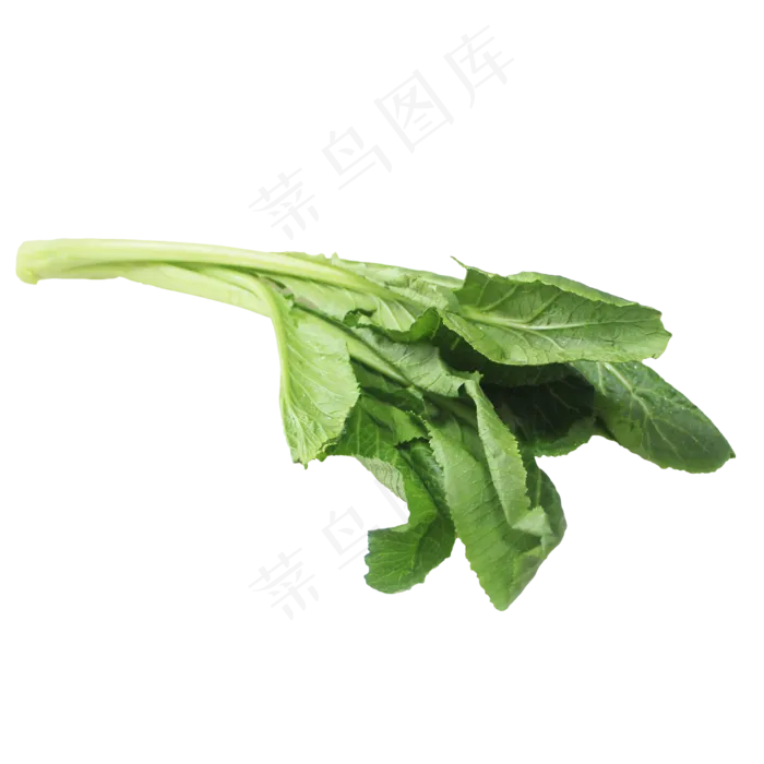 小白菜蔬菜(2000X2000(DPI:300))