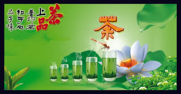 茶叶宣传海报