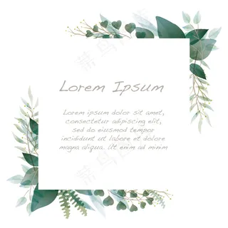 水彩方形植物框架，隔离在白色背景上。