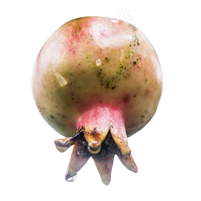 一只石榴(2000X2000(DPI:300))psd模版下载