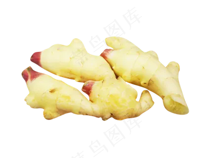 餐饮蔬菜生姜 餐饮蔬菜生姜