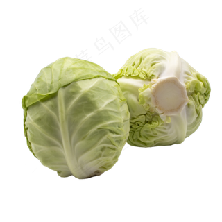 绿色蔬菜茴子白