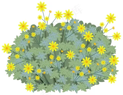 在卡通风格上白色孤立的 Brittlebush 在卡通风格上白色孤立的 Brittlebush