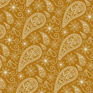 佩斯利头巾图案