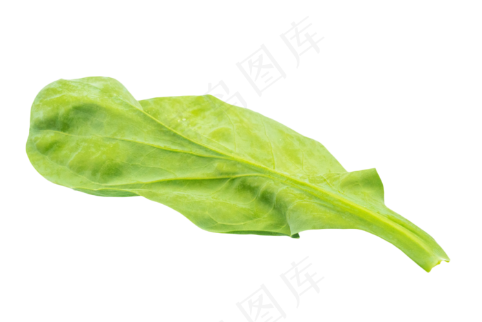 新鲜绿色蔬菜(3000*2000px 300 dpi )
