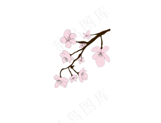樱花开花植物免扣png
