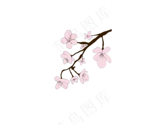 樱花开花植物免扣png