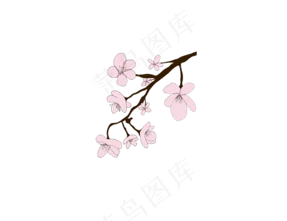 樱花开花植物免扣png 樱花开花植物免扣png