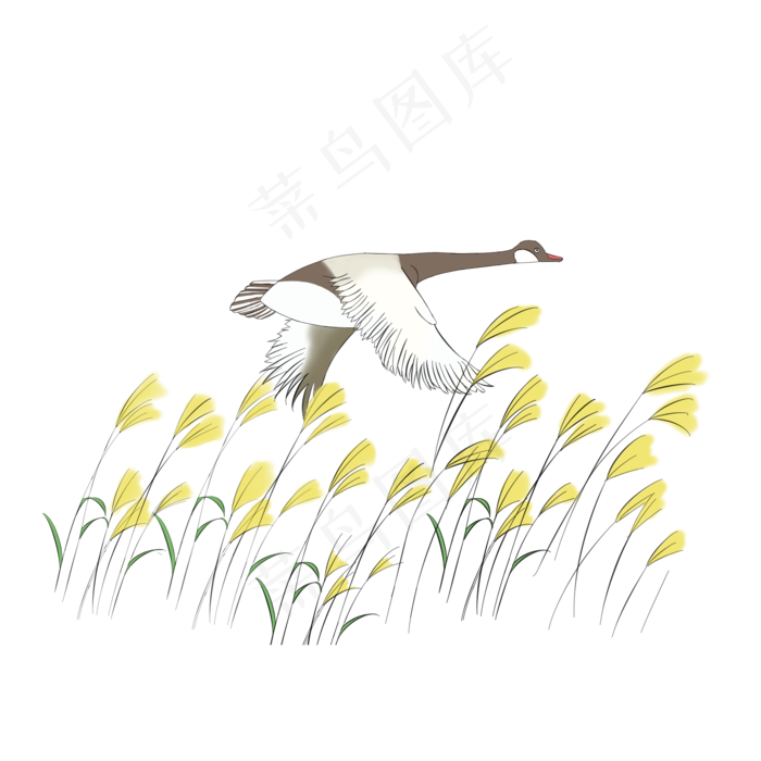 白露节气白鹭手绘插画