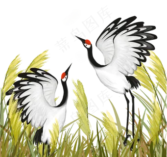 白露仙鹤24节气