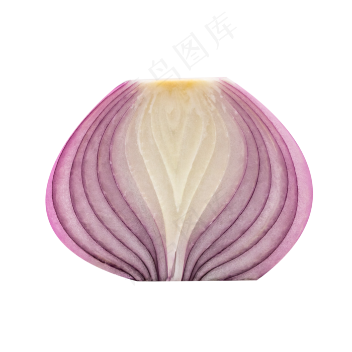 半个美味洋葱(4500*4500px 300 dpi )