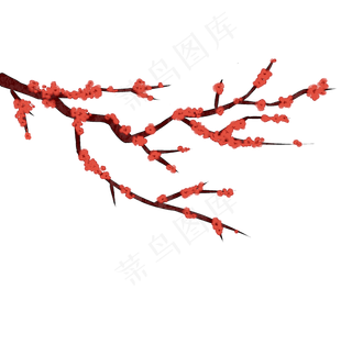 红色梅花花枝