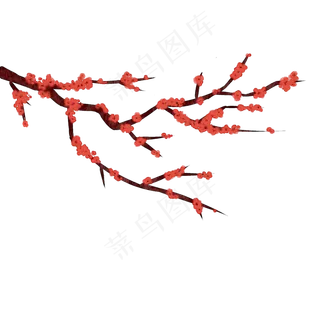 红色梅花花枝