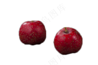 两个红色山楂美味新鲜