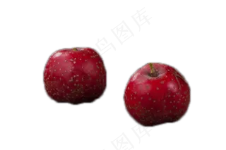 两个红色山楂美味新鲜