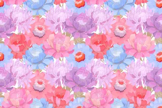 花卉图案。粉红色、紫色、蓝色的花园花，白色背景上有米色的叶子。美丽的牡丹、紫菀、紫红色为面料、壁纸设计、厨房纺织品。