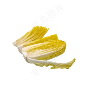 大白菜食材蔬菜