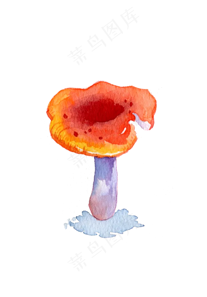 菌类蔬菜蘑菇食物(2100X3006(DPI:300))psd模版下载
