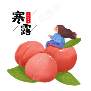 清新寒露节气素材