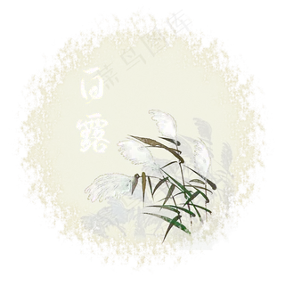 白露寒草二十四节气白露