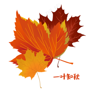 秋天枫叶素材