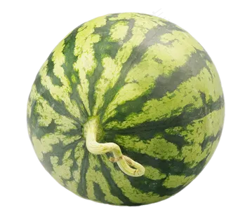 一个圆圆西瓜
